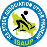 UP Icestock Association Logo